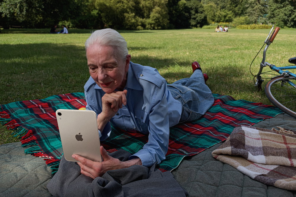 De iPad mini in gebruik op een picknickkleed in het park.